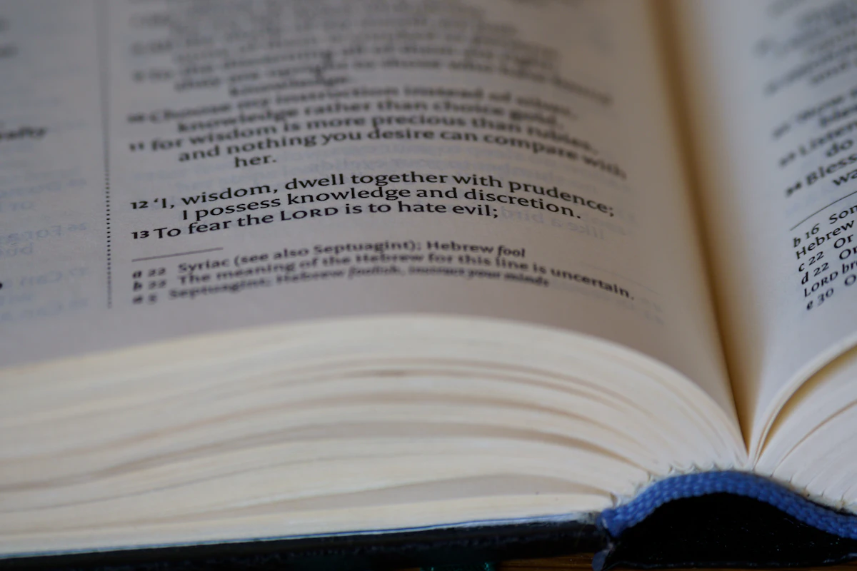 French E-Invoicing Glossary: Every Term You Need to Know